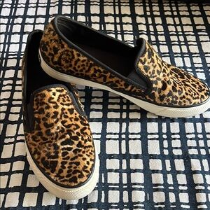 Sperry Brown and Black Slip-On Sneakers